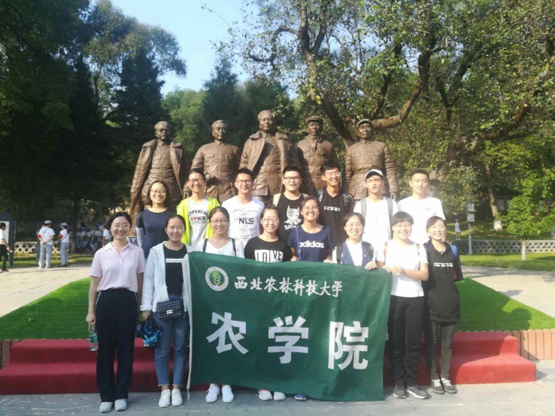 每日睡眠多少小时最好？游戏画面